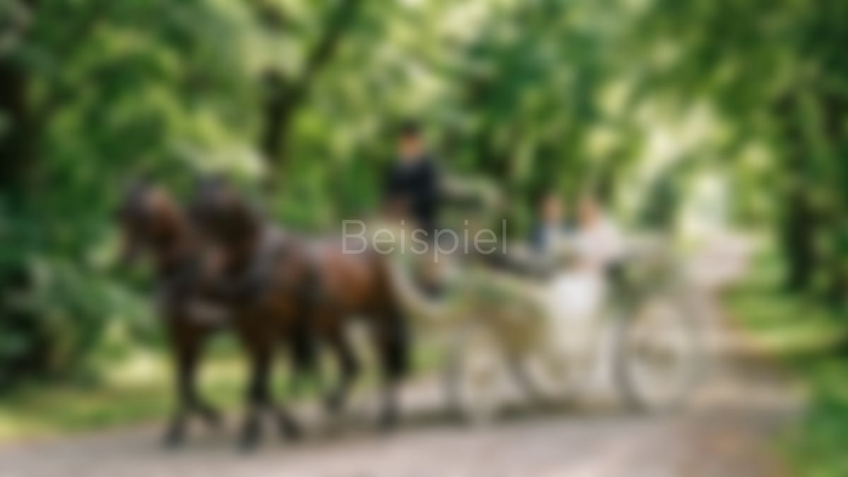 Pferdehof Lindhoff – Hochzeitsauto